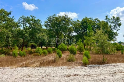 Terreno para Venda em Grândola e Santa Margarida da Serra