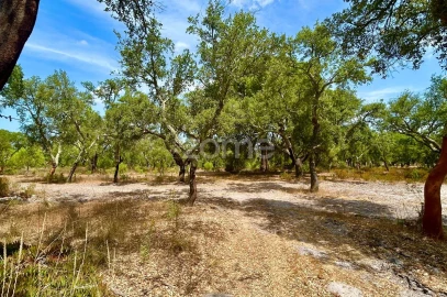 Terreno para Venda em Grândola e Santa Margarida da Serra