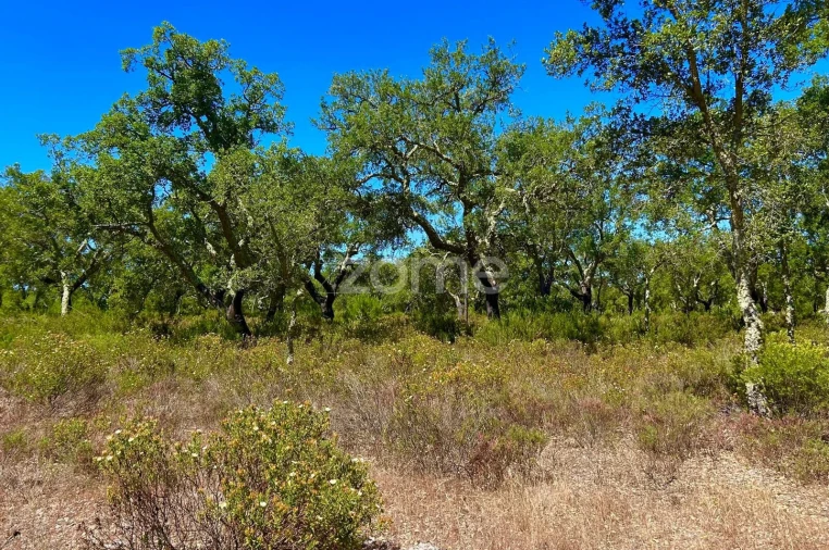 Terreno para Venda em Grândola e Santa Margarida da Serra Foto 11