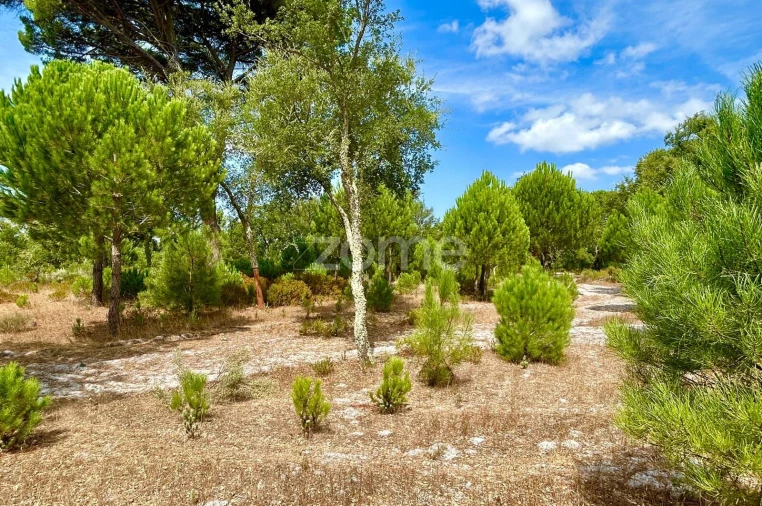 Terreno para Venda em Grândola e Santa Margarida da Serra Foto 13
