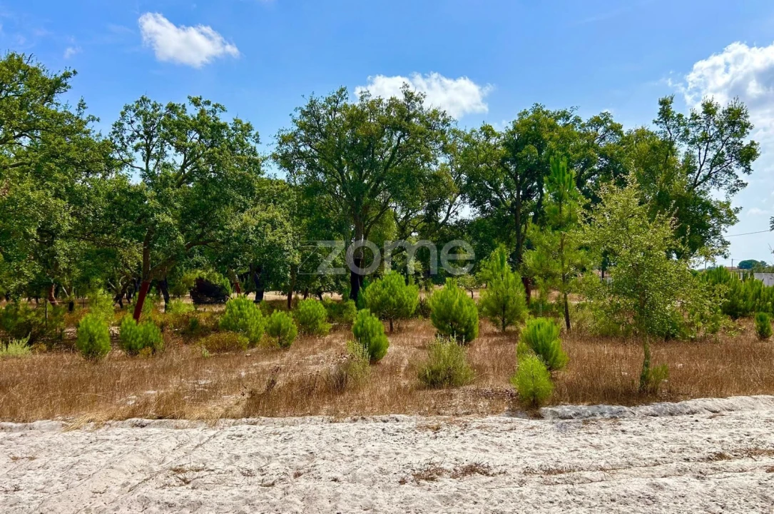 Terreno para Venda em Grândola e Santa Margarida da Serra Foto 12