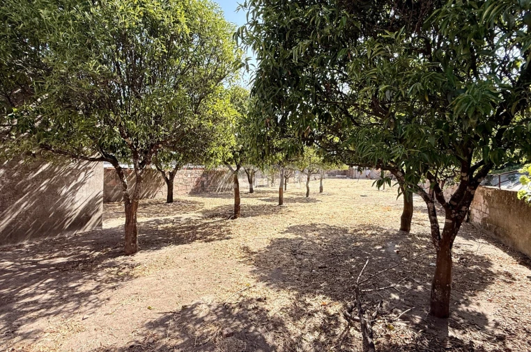 Terreno para Venda em Gafete Foto 10
