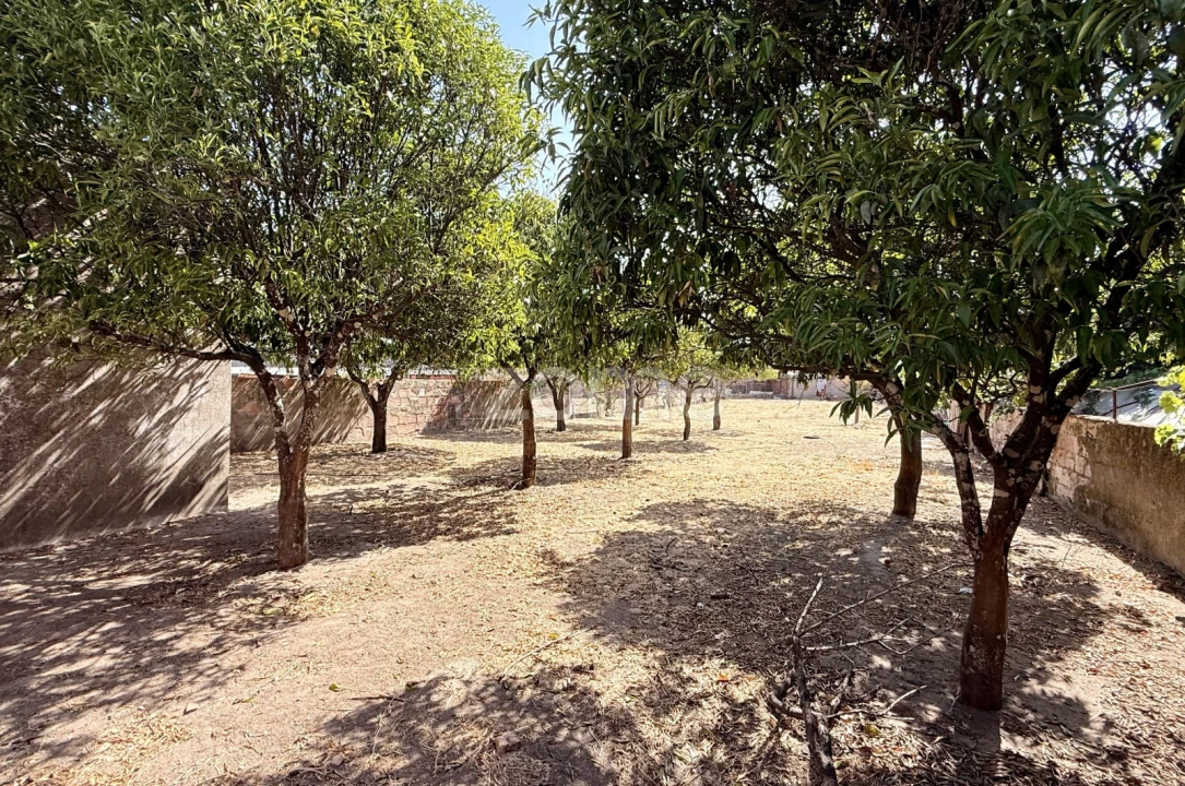 Terreno para Venda em Gafete Foto 10