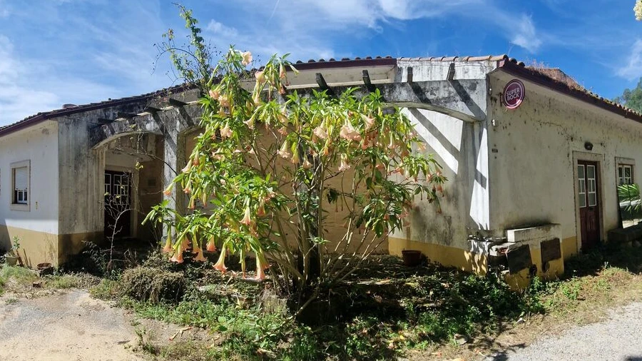 Loja para Venda em Figueiró dos Vinhos e Bairradas