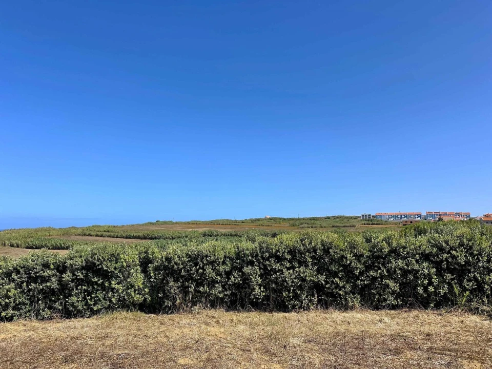Terreno para Venda em Encarnação Foto 38