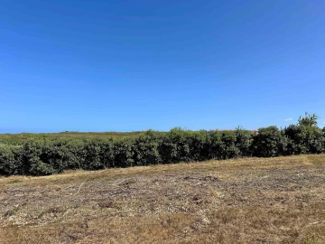 Terreno para Venda em Encarnação