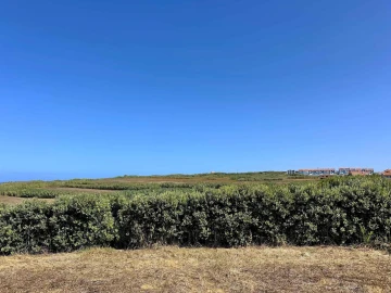 Terreno para Venda em Encarnação