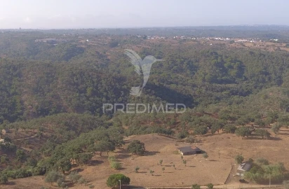 Terreno para Venda em São Francisco da Serra