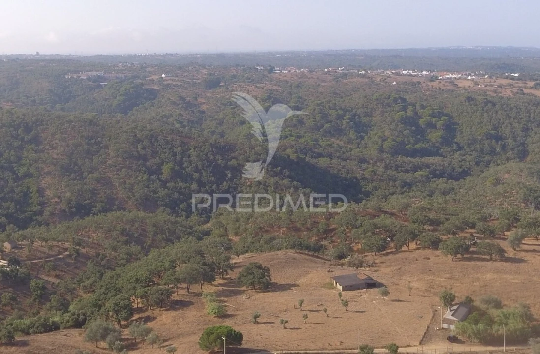Terreno para Venda em São Francisco da Serra Foto 3