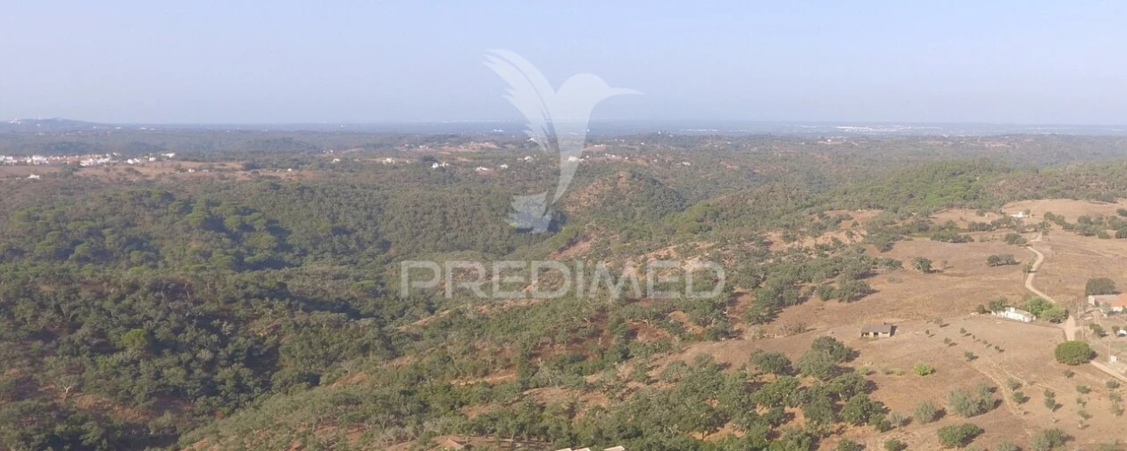 Terreno para Venda em São Francisco da Serra Foto 5
