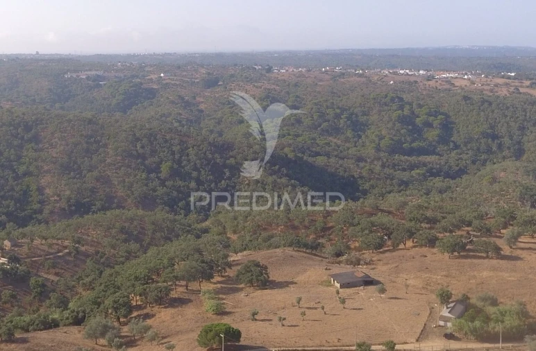 Terreno para Venda em São Francisco da Serra Foto 3