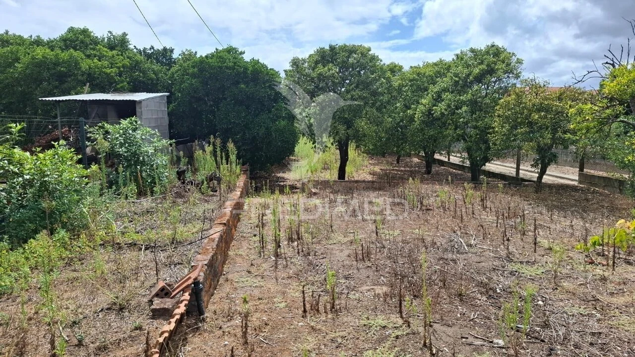 Moradia T1 para Venda em Alpiarça Foto 11