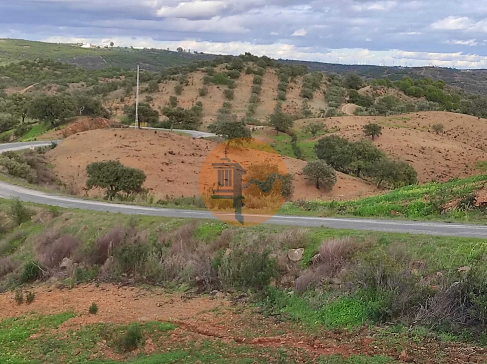 Negócio para Venda em Azinhal Foto 7