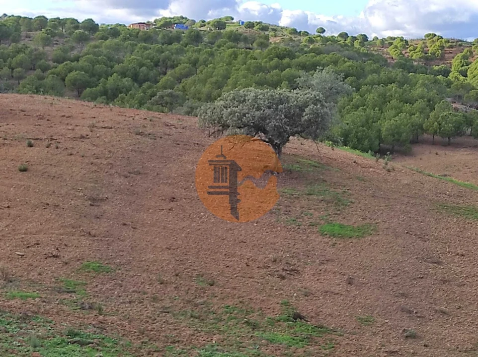 Negócio para Venda em Azinhal Foto 15