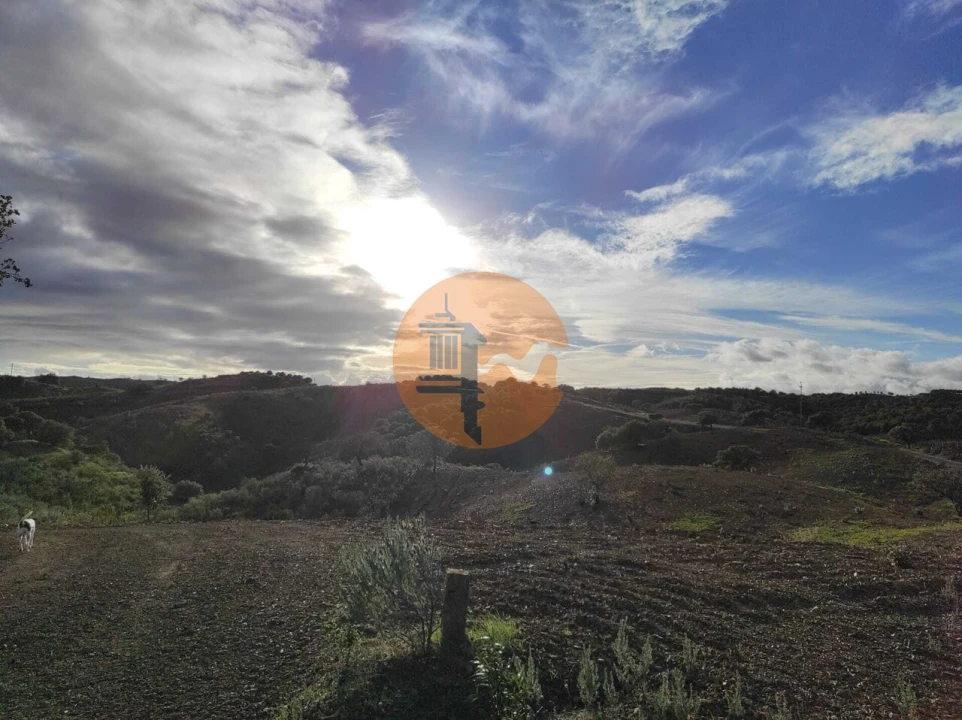 Negócio para Venda em Azinhal Foto 18