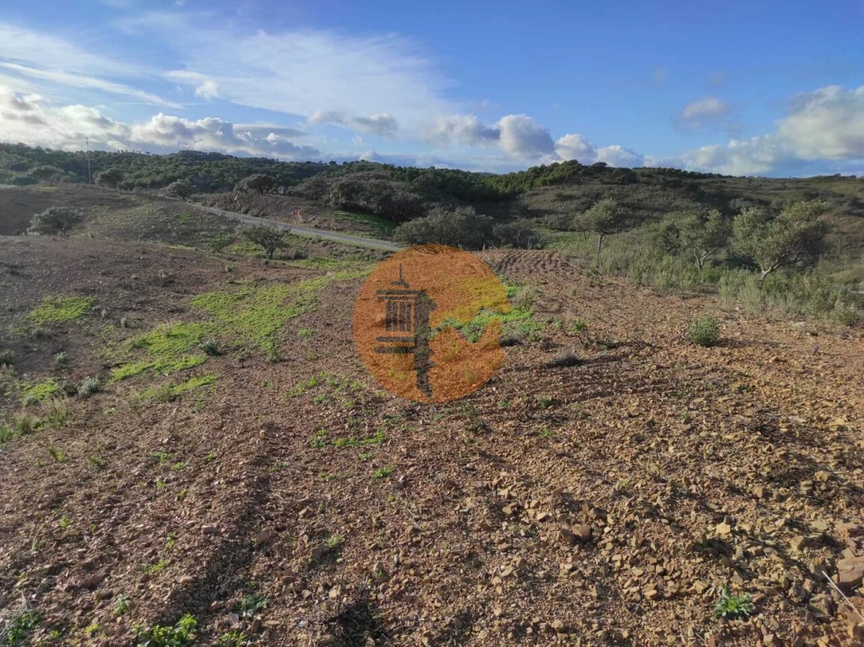 Negócio para Venda em Azinhal Foto 24