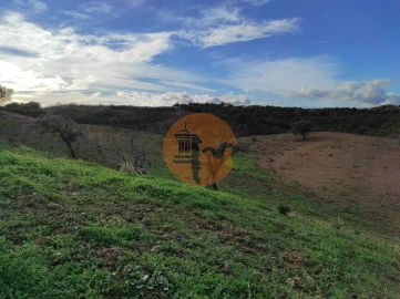 Negócio para Venda em Azinhal