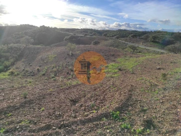 Negócio para Venda em Azinhal