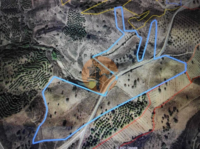 Negócio para Venda em Azinhal Foto 4