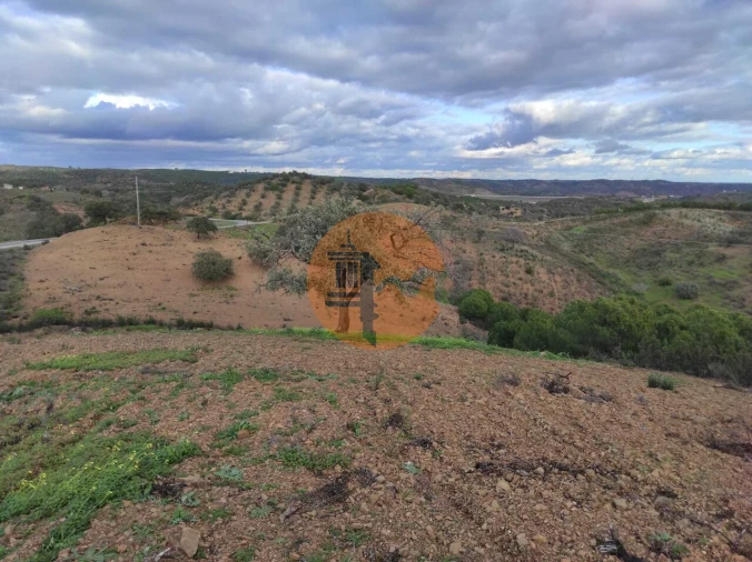 Negócio para Venda em Azinhal Foto 11