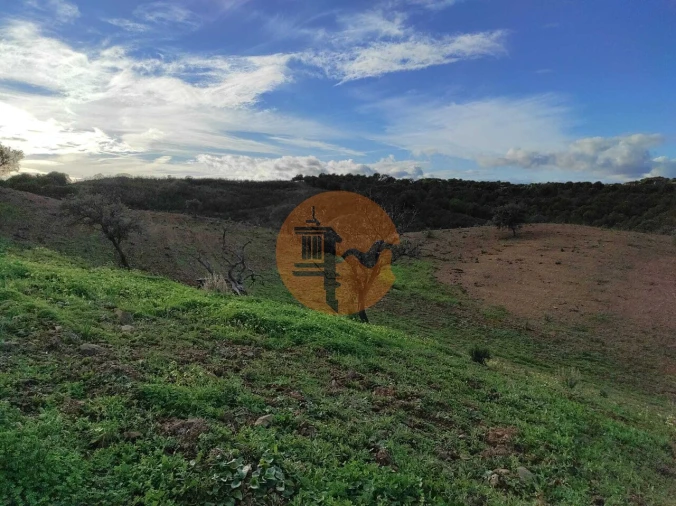 Negócio para Venda em Azinhal Foto 14