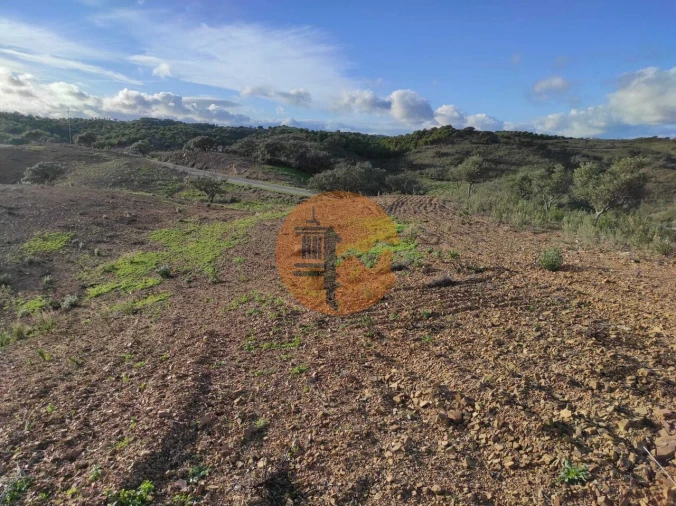 Negócio para Venda em Azinhal Foto 24
