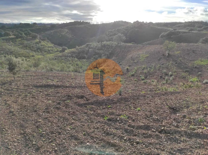 Negócio para Venda em Azinhal Foto 26