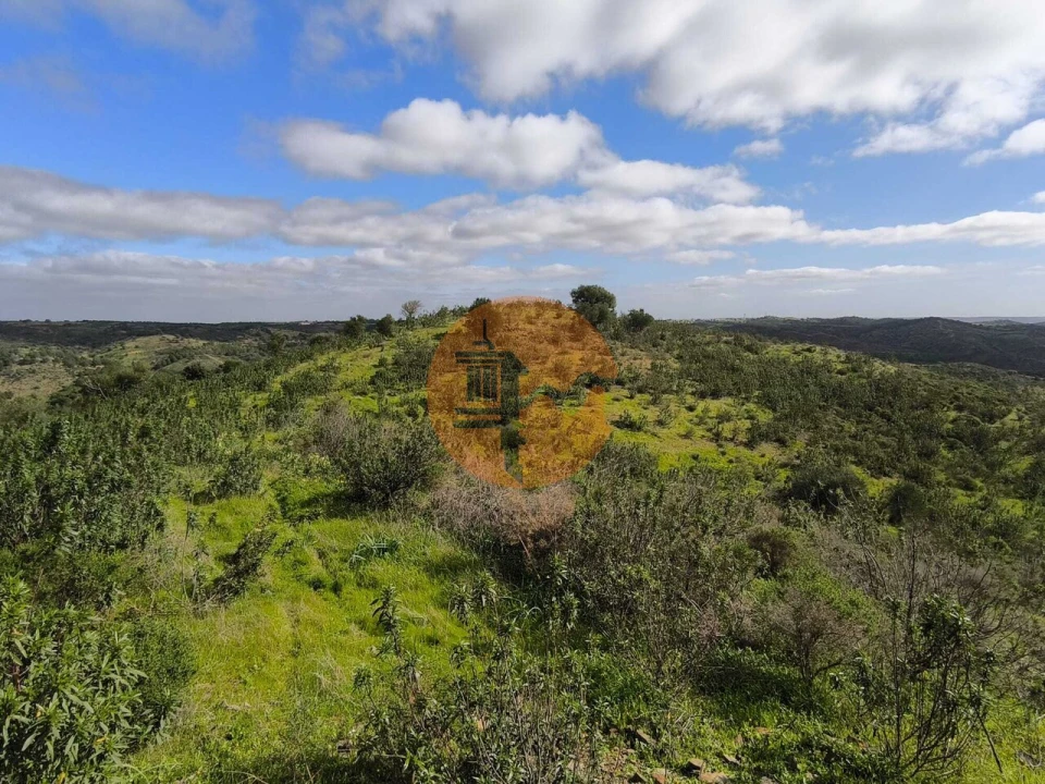 Terreno para Venda em Azinhal Foto 23