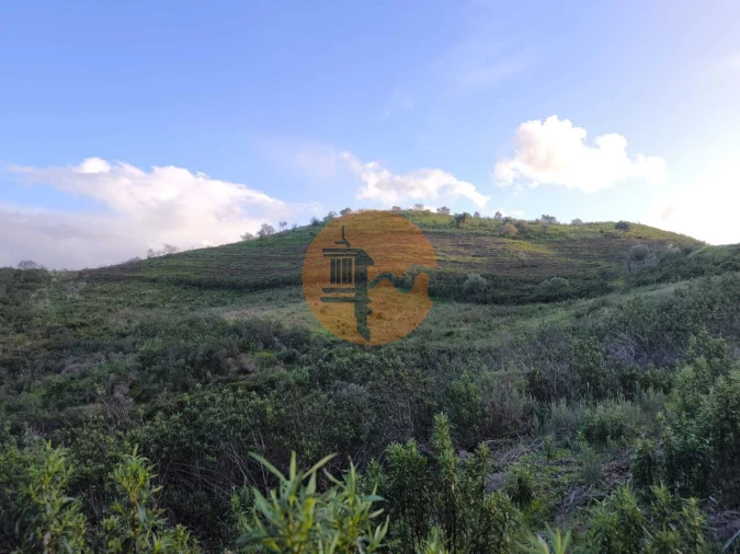 Terreno para Venda em Azinhal Foto 10