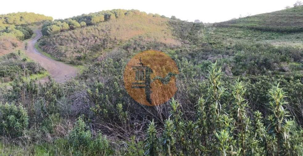 Terreno para Venda em Azinhal Foto 13