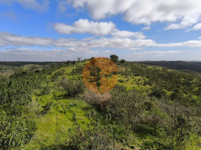 Terreno para Venda em Azinhal Foto 23