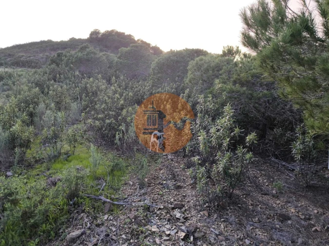 Terreno para Venda em Azinhal Foto 36