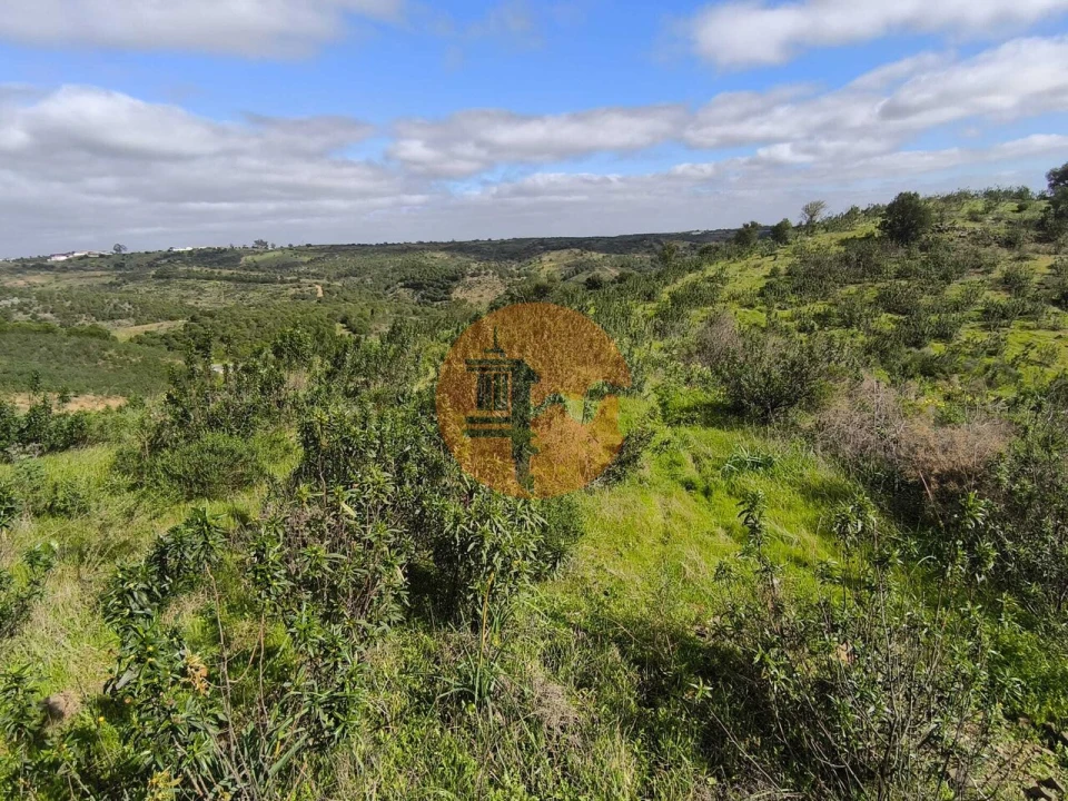 Negócio para Venda em Azinhal Foto 23