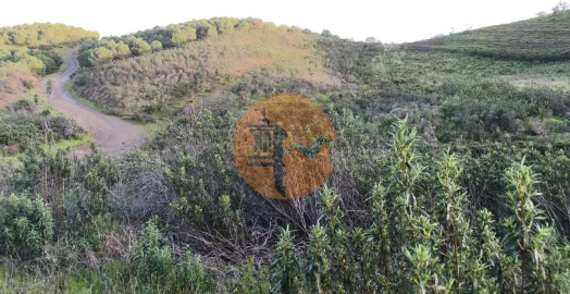 Negócio para Venda em Azinhal