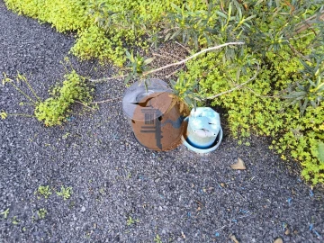 Negócio para Venda em Azinhal