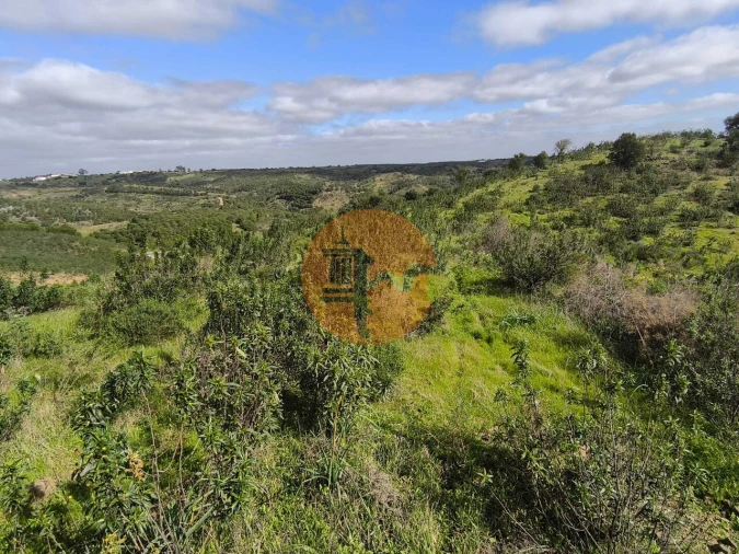Negócio para Venda em Azinhal Foto 23