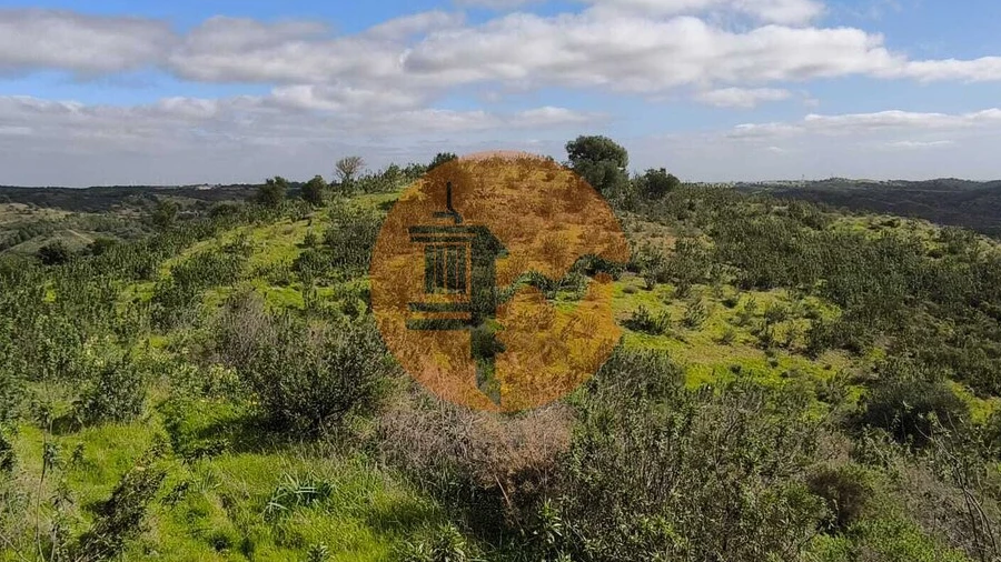 Negócio para Venda em Azinhal