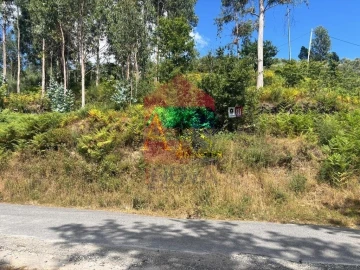 Terreno para Venda em Ribeira do Neiva