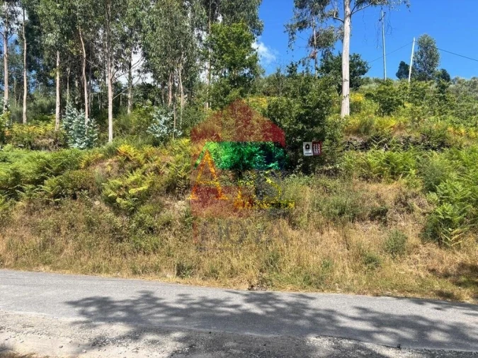 Terreno para Venda em Ribeira do Neiva Foto 7
