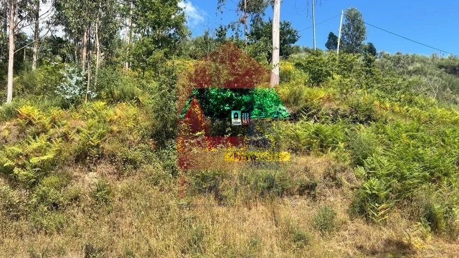 Terreno para Venda em Ribeira do Neiva