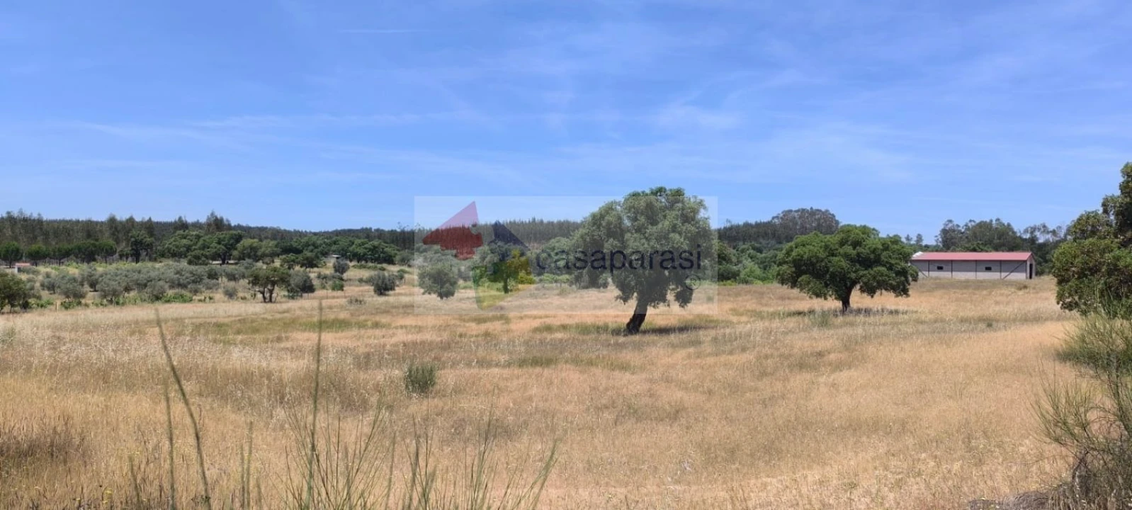 Terreno para Venda em Cunheira Foto 25