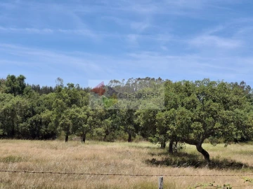 Terreno para Venda em Cunheira