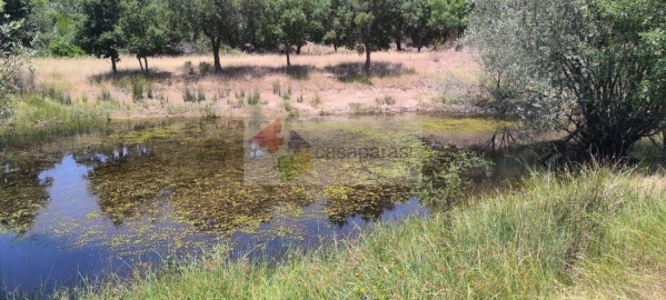 Terreno para Venda em Cunheira