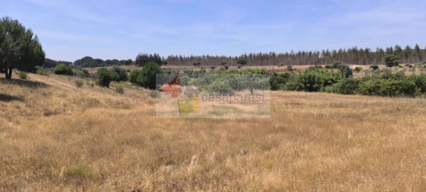 Terreno para Venda em Cunheira