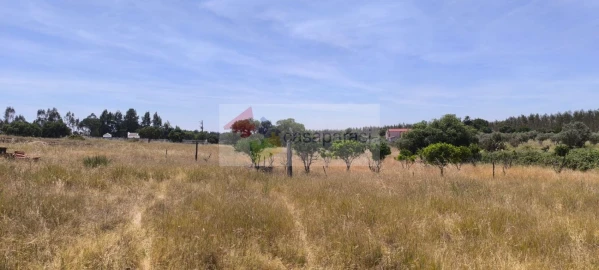 Terreno para Venda em Cunheira
