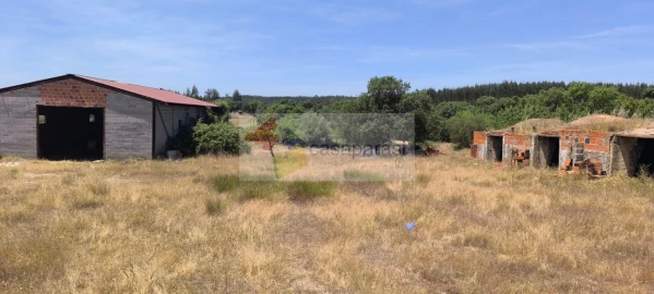 Terreno para Venda em Cunheira