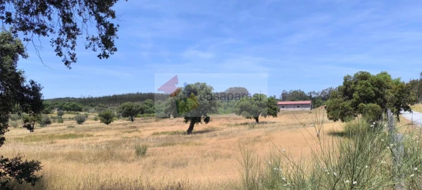 Terreno para Venda em Cunheira