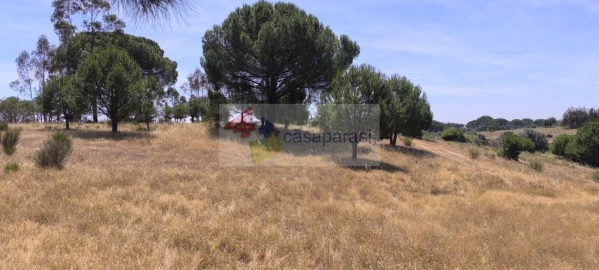 Terreno para Venda em Cunheira