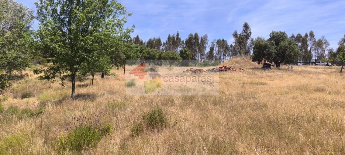 Terreno para Venda em Cunheira Foto 27