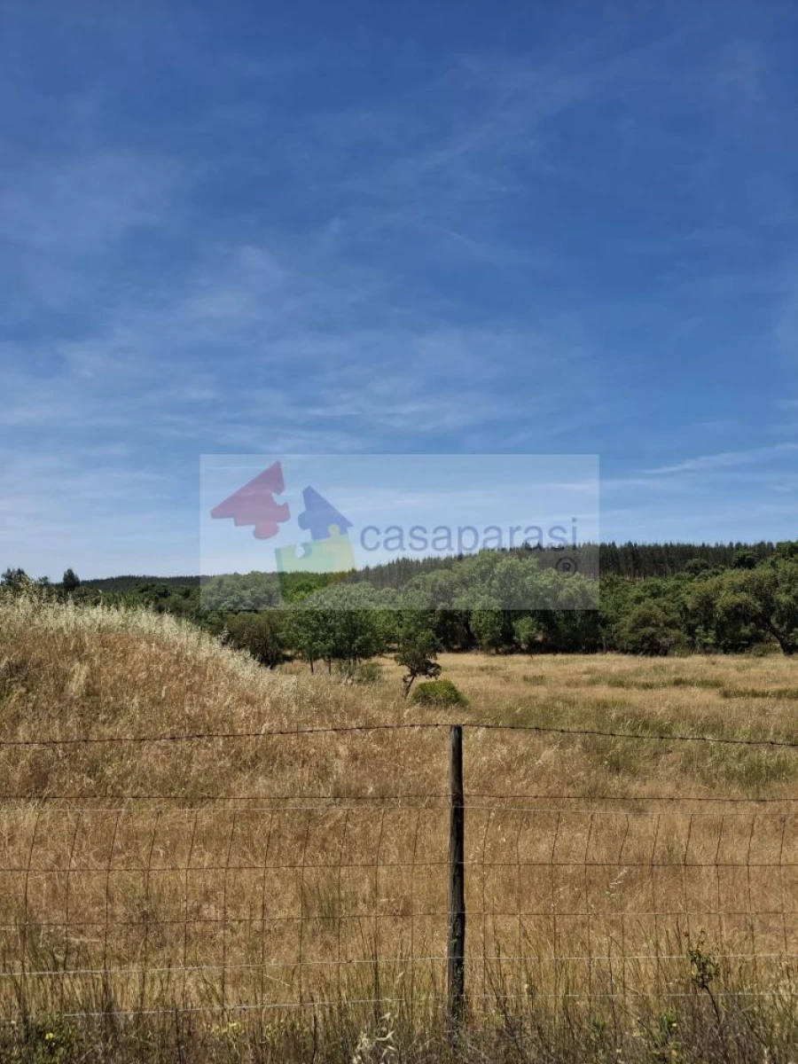 Terreno para Venda em Cunheira Foto 4